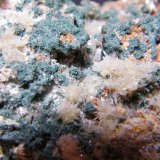 Mottramite and Mimetite
150mm x 80mm x 60mm
(Autor: Heimo Hellwig)