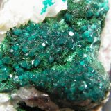 Dioptase and Malachite
35mm x 70mm x 70mm
(Autor: Heimo Hellwig)