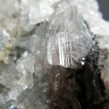 Cerussite
76mm x 44mm x 40mm
(Autor: Heimo Hellwig)