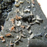 Wulfenite
40mm x 45mm x 25mm
(Autor: Heimo Hellwig)