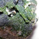 Arsentsumebite and Mottramite
72mm x 106mm x 56mm
(Autor: Heimo Hellwig)