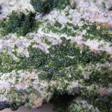 Arsentsumebite and Mottramite
72mm x 106mm x 56mm
(Autor: Heimo Hellwig)