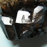Quartz (variety smoky)
69mm x 84mm x 44mm
(Autor: Heimo Hellwig)