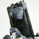 Fluorite and Schorl
128mm x 86mm x 65mm
(Autor: Heimo Hellwig)