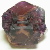 Fluorite
52mm x 38mm x 44mm
(Autor: Heimo Hellwig)