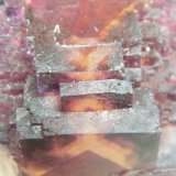 Fluorite
52mm x 38mm x 44mm
(Autor: Heimo Hellwig)