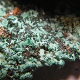 Malachite
118mm x 62mm x 80mm
(Autor: Heimo Hellwig)