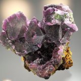 Fluorite
14.8 x 12.7
(Autor: Philip Simmons)