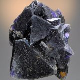 Fluorite
10.1 x 8.0 cm. Largest crystal is 5.5 cm.
(Autor: Philip Simmons)