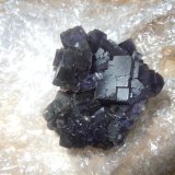 Fluorite
6.5/6 x 5.5 cm
(Autor: Casimir Sarisky)