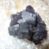 Fluorite
6.5/6 x 5.5 cm
(Autor: Casimir Sarisky)