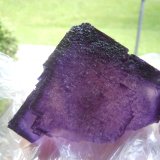 Fluorite
10.8 x 8.9 x 7.6 cm
(Autor: Casimir Sarisky)