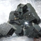 Schorl (Tourmaline Group)
10.2 x 10.2 x 7.6 cm
(Autor: Casimir Sarisky)
