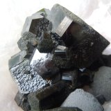 Schorl (Tourmaline Group)
10.2 x 10.2 x 7.6 cm
(Autor: Casimir Sarisky)