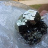 Pyrite on Hematite
5.1 x 5.1 cm
(Autor: Casimir Sarisky)