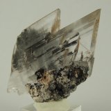 Gypsum (var. selenite)
5.5 x 4 x 2.4 centimeters
(Autor: Ricardo Melendez)