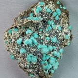Rosasite
7.0cm x 5.5cm
(Autor: rweaver)