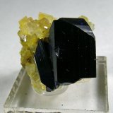 Azurite and Calcite
(Autor: bob kerr)