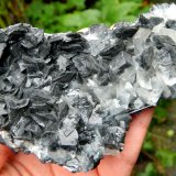 Calcite with Jamesonite inclusions and Stibnite
~ 11.5 cm L
(Autor: Deyu)