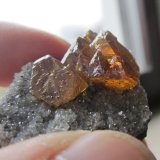 Sphalerite
Specimen size 4 cm, largest sphalerite crystal 1.5 cm
(Autor: Tobi)