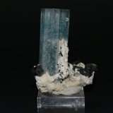 Beryl (variety aquamarine)
45mm x 40mm x 15mm
(Autor: Philippe Durand)