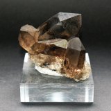 Quartz (variety smoky)
60mm x 60mm x 45mm
(Autor: Philippe Durand)