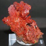 Vanadinite
60mm x 50mm x 40mm
(Autor: Philippe Durand)