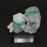 Beryl (variety aquamarine)
50mm x 40mm x 25mm
(Autor: Philippe Durand)
