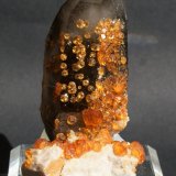 Quartz and Spessartine
55mm x 45mm x 35mm
(Autor: Philippe Durand)