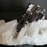 Hübnerite and Quartz
135mm x 100m x 50mm
(Autor: Philippe Durand)