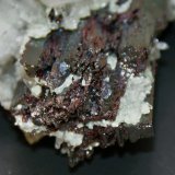 Hübnerite and Quartz
135mm x 100m x 50mm
(Autor: Philippe Durand)