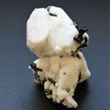 Orthoclase with Aegirine and Zircon
60mm x 60mm x 45mm
(Autor: Philippe Durand)
