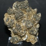 Siderite with Pyrite
65mm  x  55mm
(Autor: Philippe Durand)