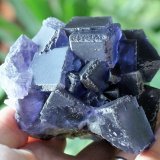 Fluorite
100mm x 90mm x 80mm
(Autor: Philippe Durand)