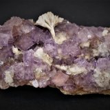 Fluorite and Barite
115mm x 65mm x 40mm
(Autor: Philippe Durand)