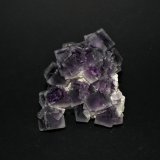 Fluorite
55mm x 55mm x 40mm
(Autor: Philippe Durand)