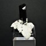 Tourmaline (varitety Schorl) on Albite and Hyalite
40mm x 40mm x 40 mm
(Autor: Philippe Durand)