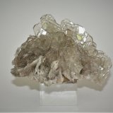 Baryte
80mm x 45mm x 50mm
(Autor: Philippe Durand)