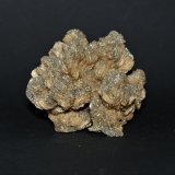 Barite and pyrite
80mm x 60mm x 60mm
(Autor: Philippe Durand)
