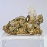Siderite and Quartz
70mm x 50mm x 40mm
(Autor: Philippe Durand)