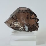 Quartz (varieties smoky and gwindel)
80mm X 55mm X 30mm
(Autor: Philippe Durand)