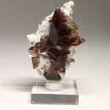 Axinite
40mm x 25mm x 20mm
(Autor: Philippe Durand)