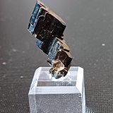 Augite
30mm x 10mm x 6mm
(Autor: Philippe Durand)