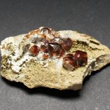 Garnet (Group)
70mm x 40mm x 20mm
(Autor: Philippe Durand)