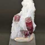 Elbaite and Albite (variety cleavelandite)
45mm x 30mm x 20mm
(Autor: Philippe Durand)