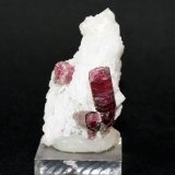 Elbaite and Albite (variety cleavelandite)
45mm x 30mm x 20mm
(Autor: Philippe Durand)