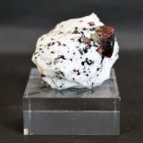 Zircon
50mm x 30mm x 35mm
(Autor: Philippe Durand)