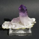 Quartz (variety amethyst)
60mm x 40mm x 25mm
(Autor: Philippe Durand)