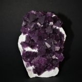 Fluorite
85mm x 60mm x 30mm
(Autor: Philippe Durand)