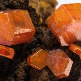 Vanadinite
FOV 1,5 cm
(Autor: Tobi)